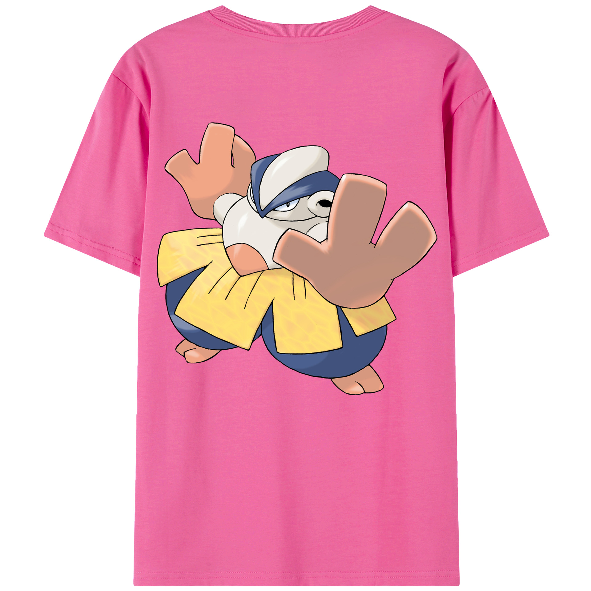 （画像用） ポケットモンスター Pokémon レディース半袖Tシャツ(バックプリント)